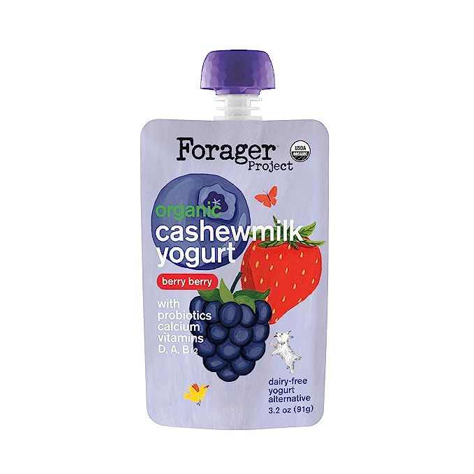 Forager Project Organic Kids Cashew Milk Yogurt