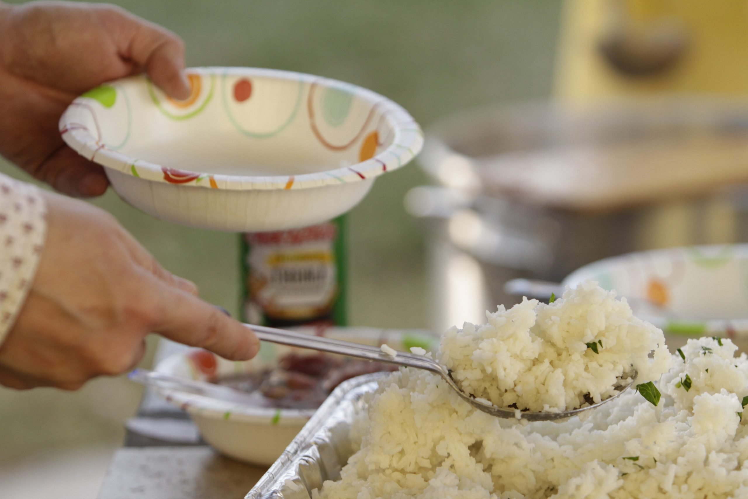 Lunch and Dinner Ideas, Including Rice Options