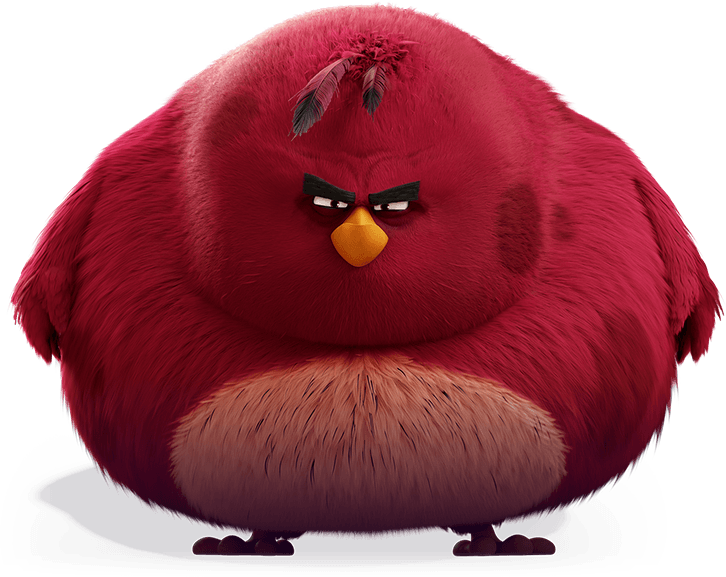 Terence