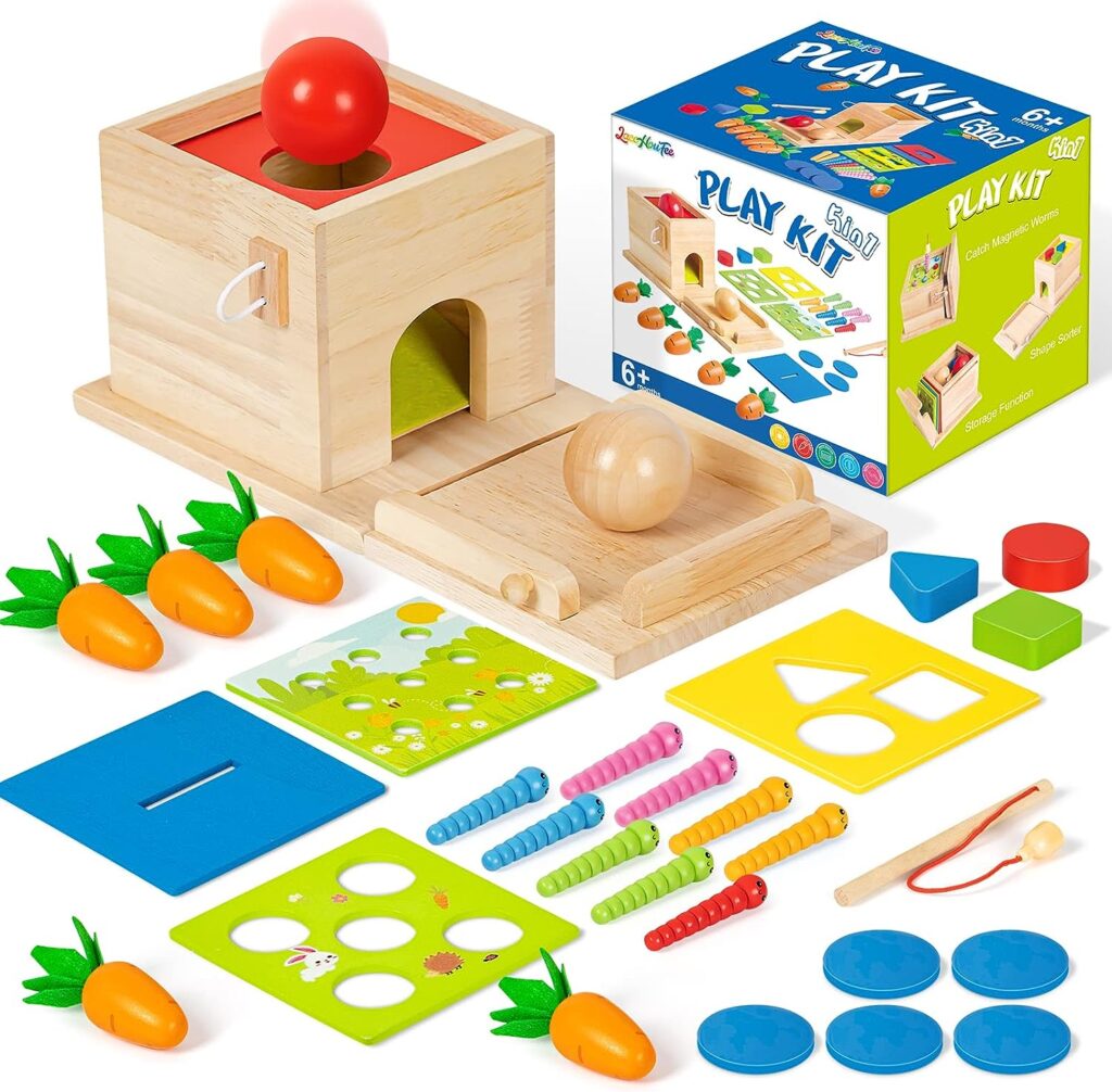 5-in-1 Montessori Wooden Play Kit