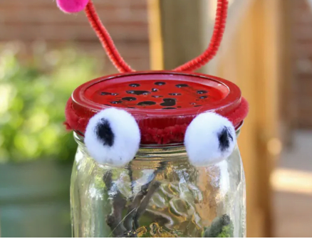 A Bug Catching Jar