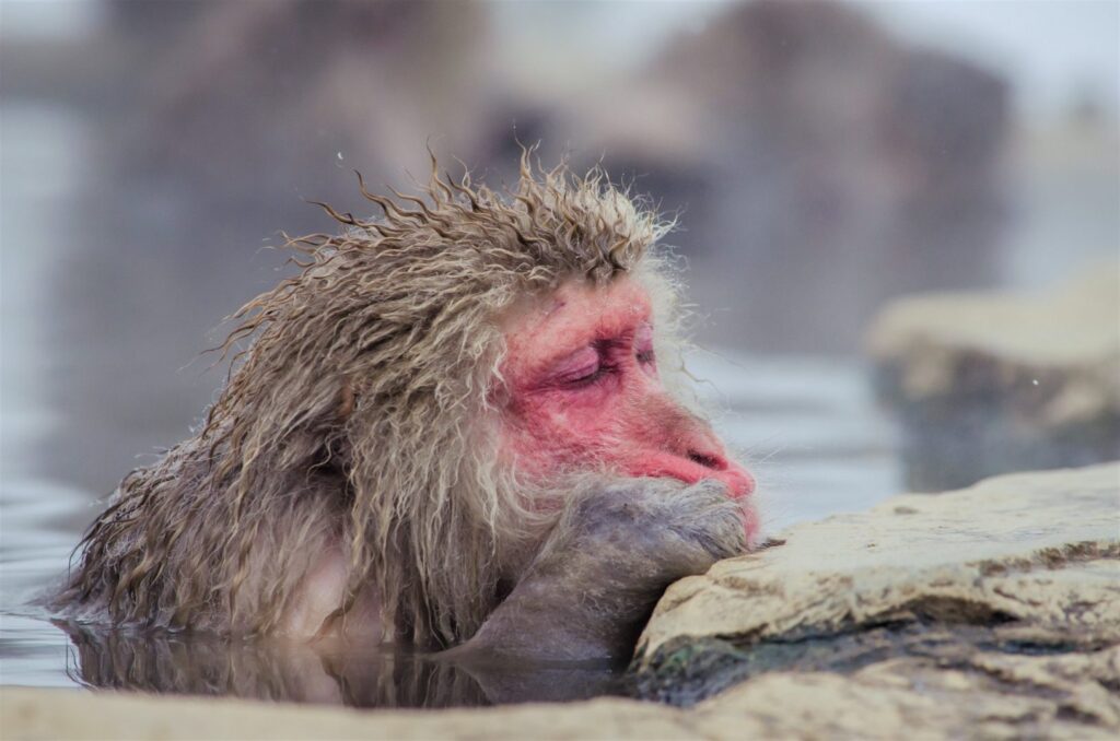 A Relaxing Bath