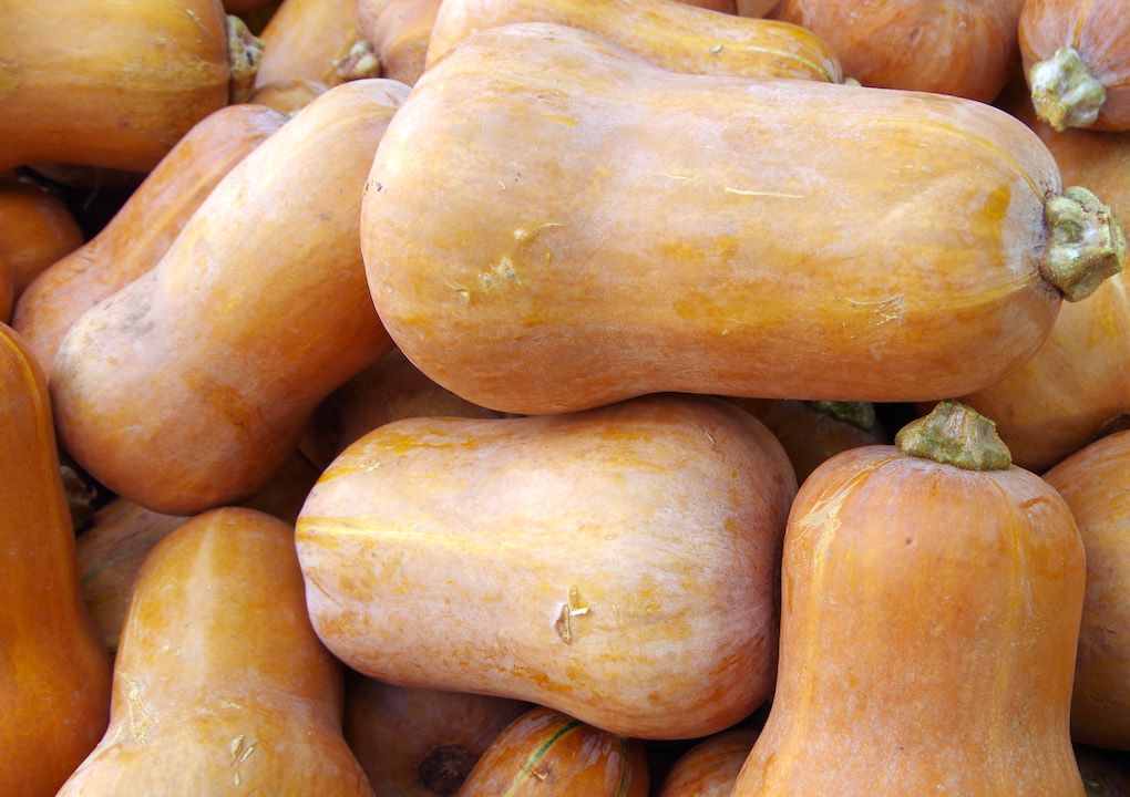 Butternut Squash