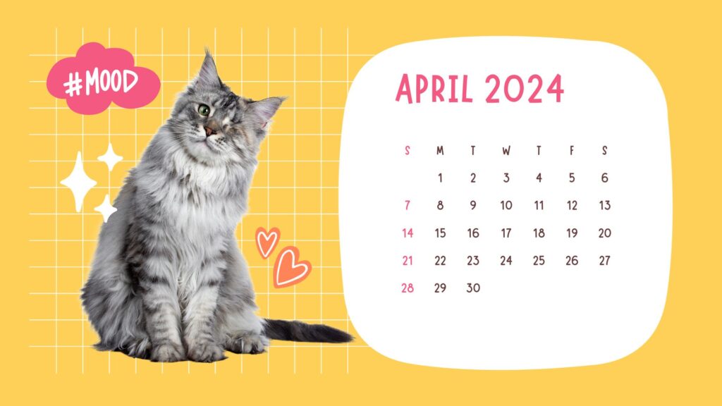 Calendar for Animal Lovers