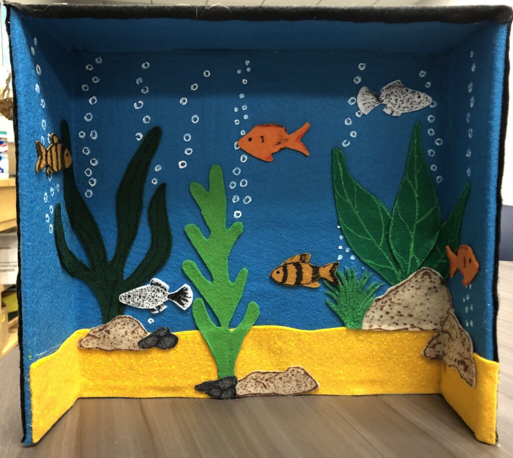 Cardboard Box Aquarium