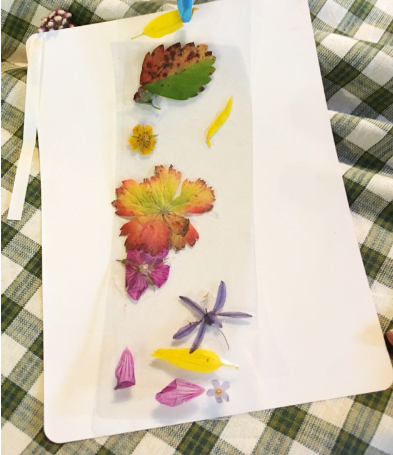 Creative Nature Bookmarks