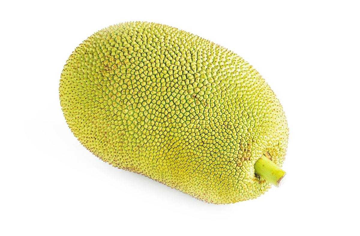 Jackfruit