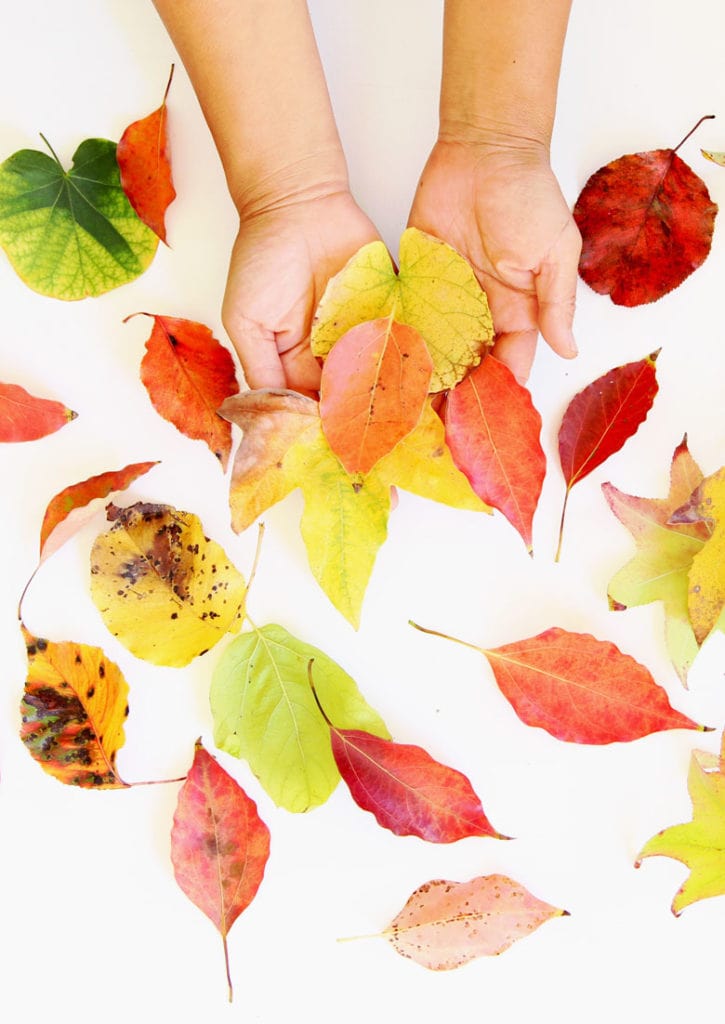 Leaf Rubbings Artwork