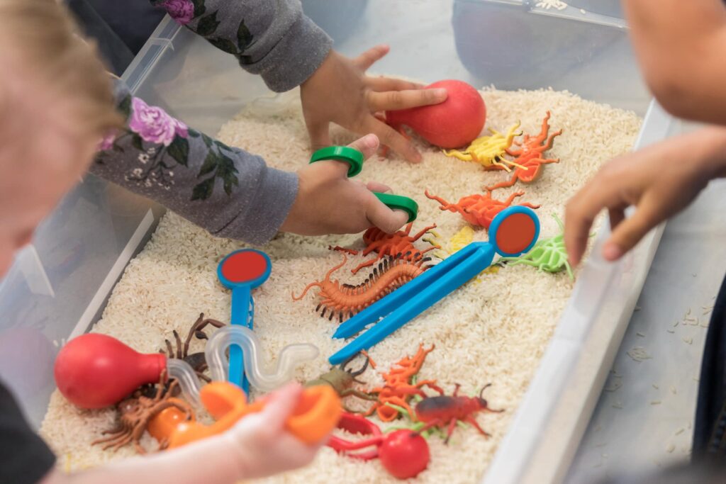 Look for Multisensory Toys