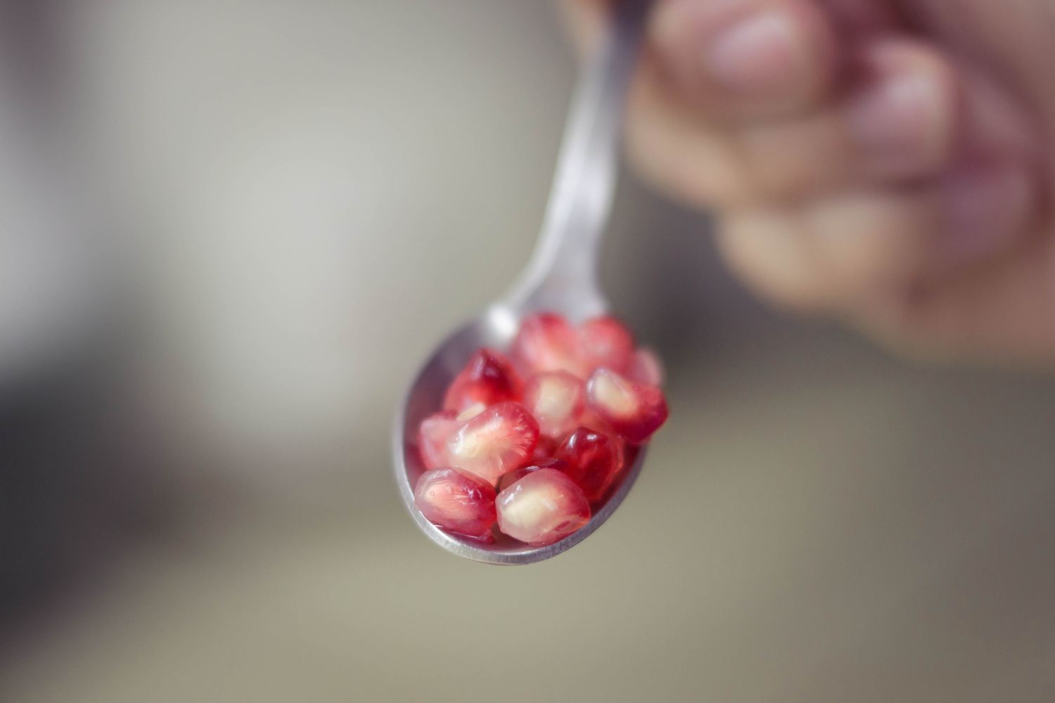 Pomegranate Seed