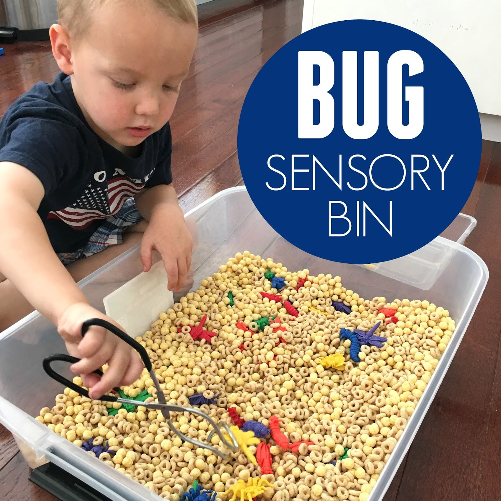 Sensory Bin