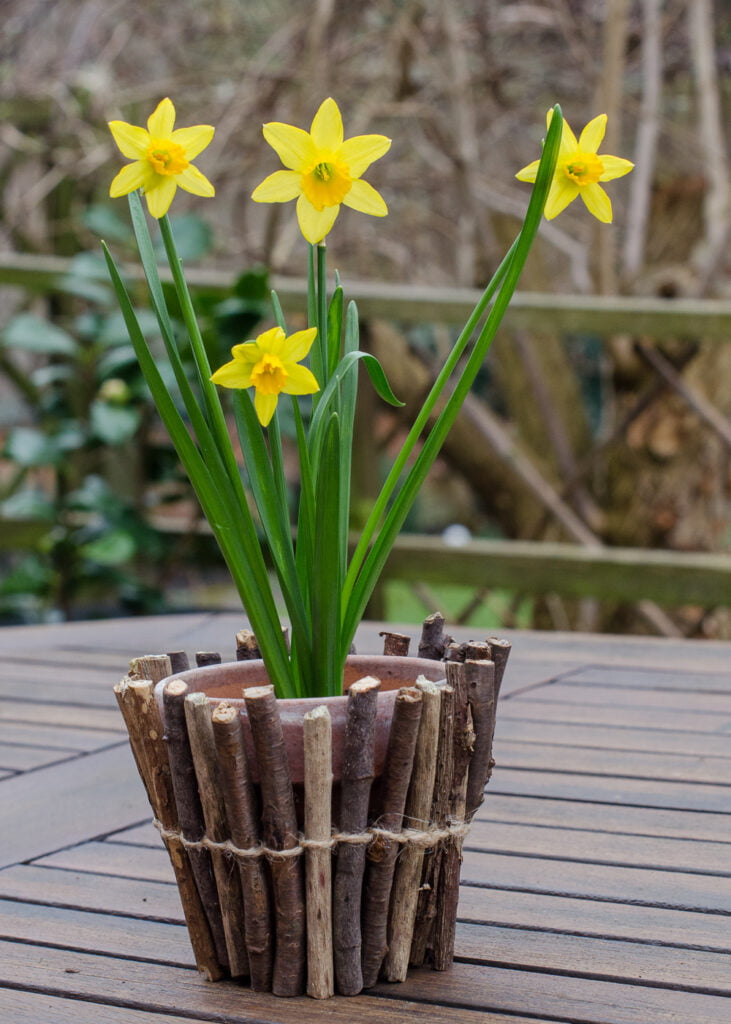 Twig Wrapped Flower Pots